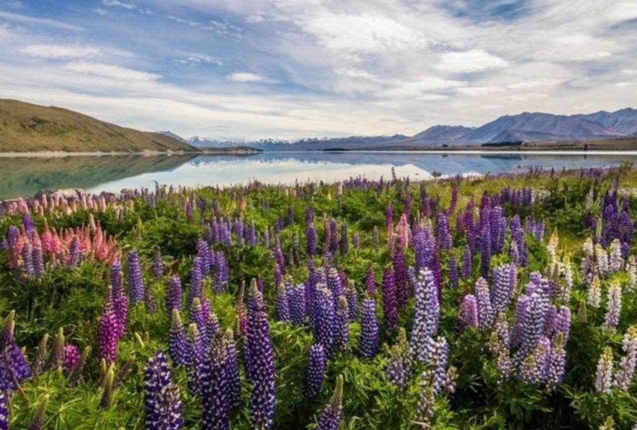 Lake Tekapo Village Motel מראה חיצוני תמונה